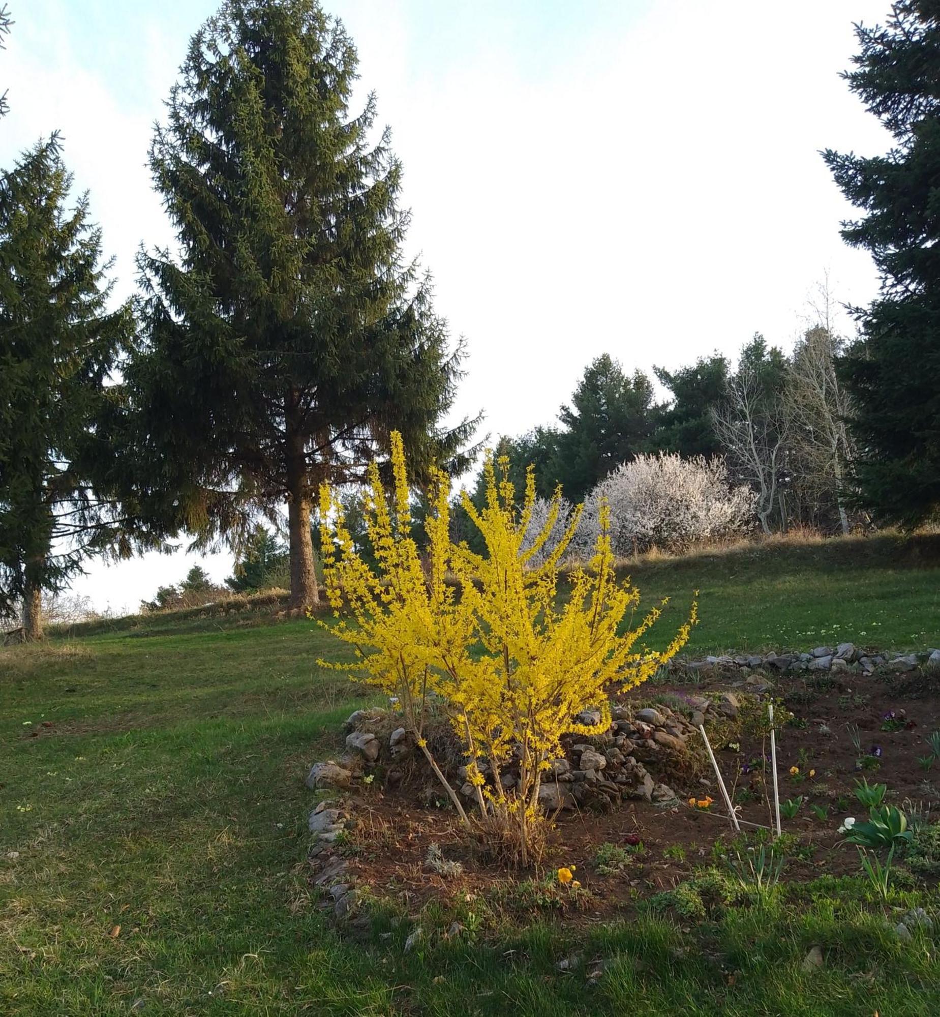 Apartmani Planinska Kuca, Jagodnja Krupanj 外观 照片
